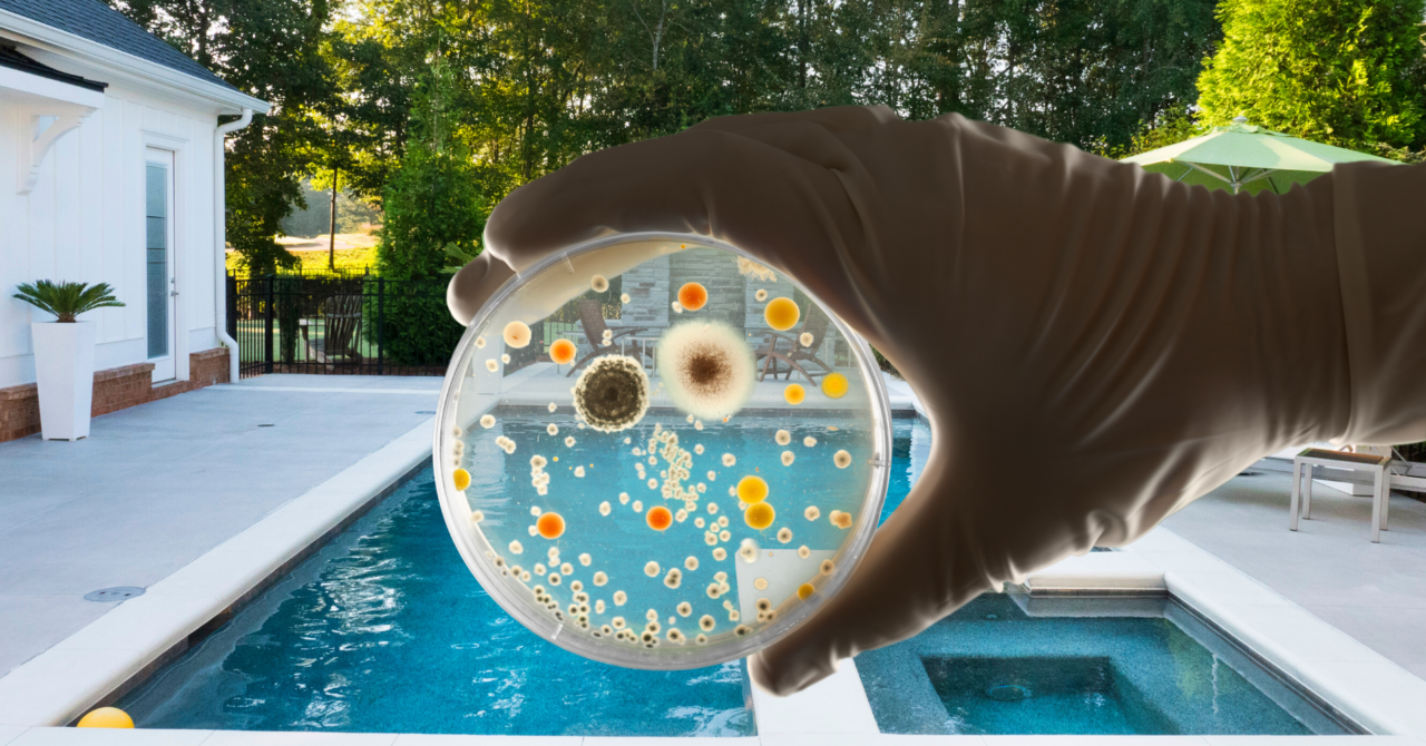 The Importance of Regularly Testing Pool Water for Bacteria