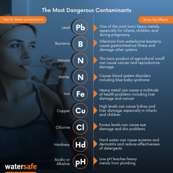 Watersafe® 10 Rapid Bacteria Tests for Pool and Spa - Image 2